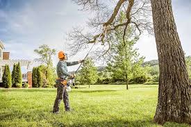 Best Fruit Tree Pruning  in Munfordville, KY