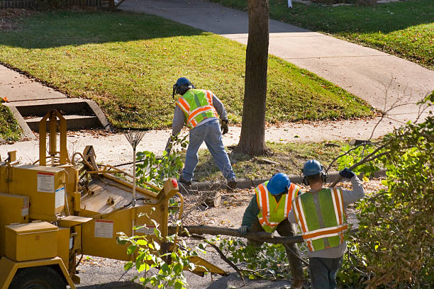 Mulching Services in Munfordville, KY